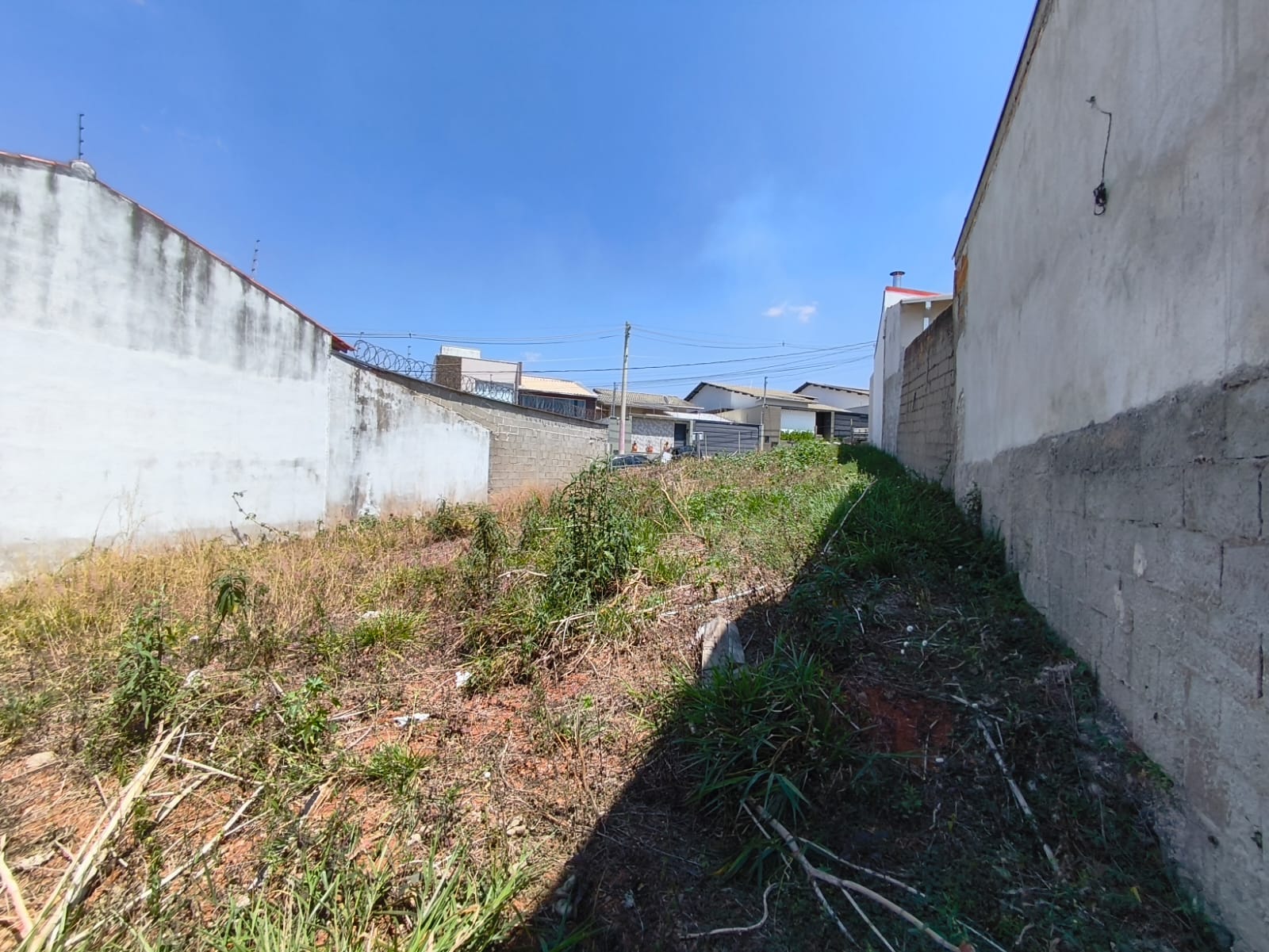 WhatsApp Image 2025-09-23 at 09.47.54