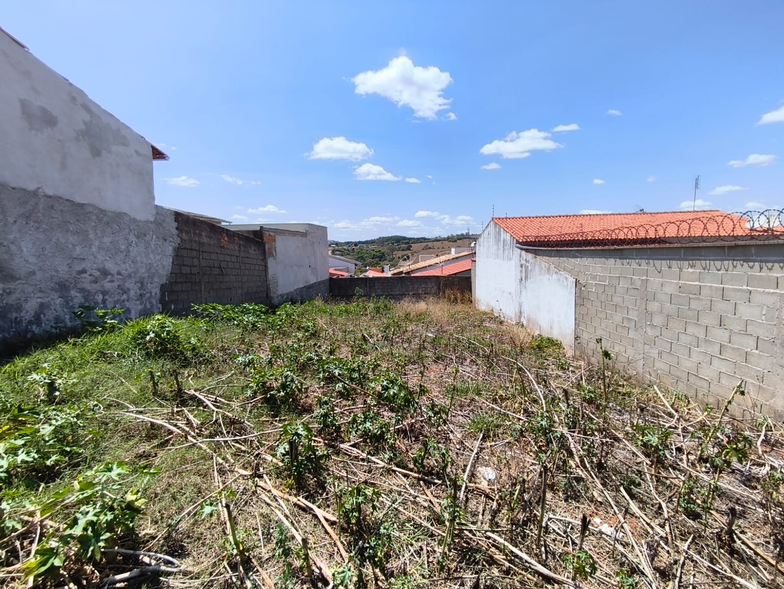 WhatsApp Image 2025-09-23 at 09.48.45 (1)