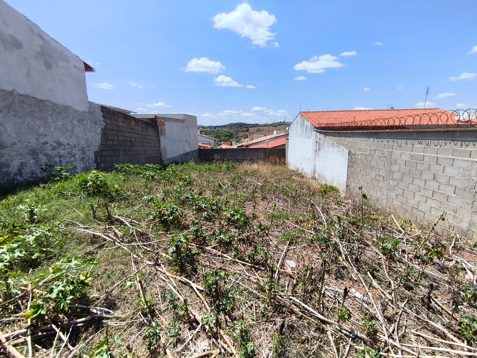 WhatsApp Image 2025-09-23 at 09.48.47