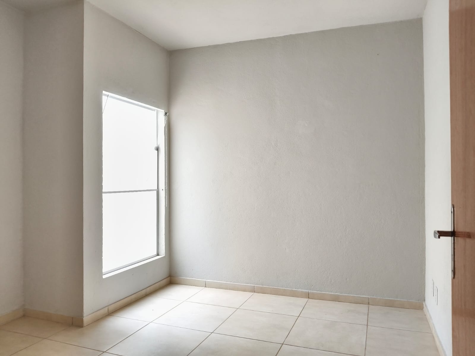 WhatsApp Image 2025-11-03 at 16.58.24