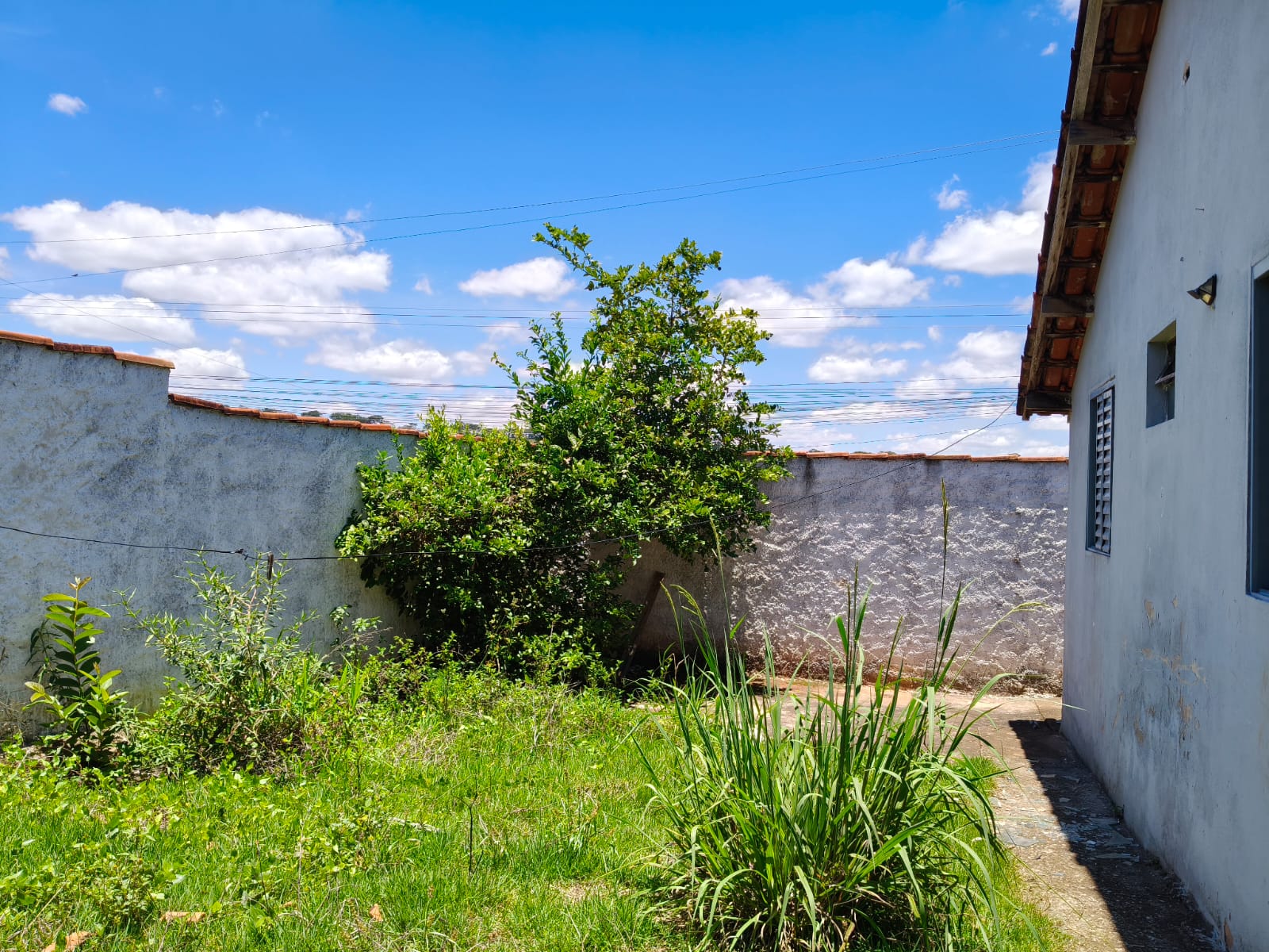 WhatsApp Image 2025-11-19 at 12.06.41 (2)