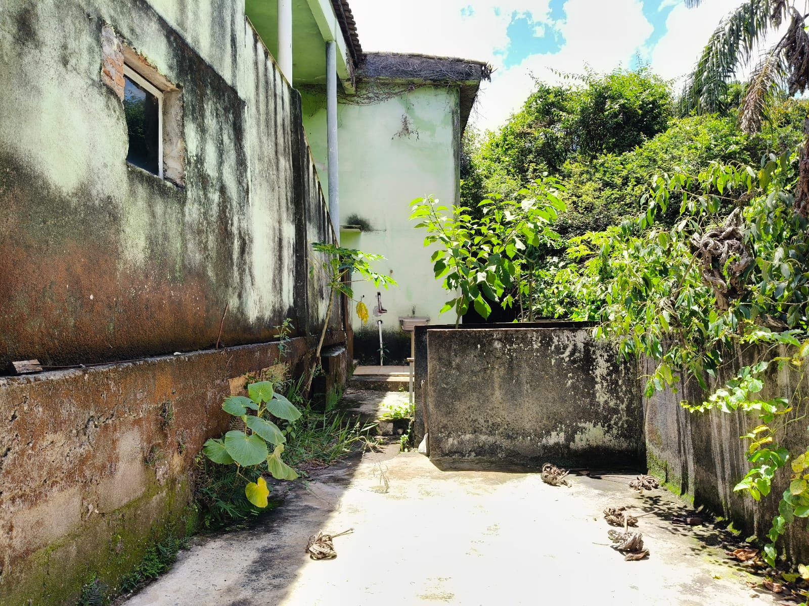 WhatsApp Image 2025-11-26 at 12.59.34 (1)